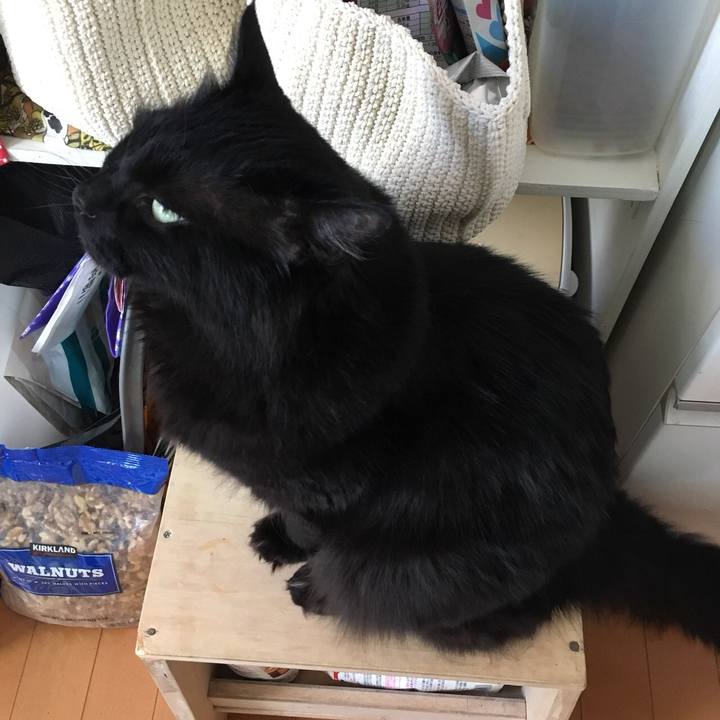 Eb0fa012 2ae8 4f53 b6ec 802103fe1682 1525687042499