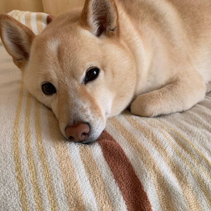 Eb0fa4f5 cf2d 4418 a9ef 9ae3a826b307 1616109552427