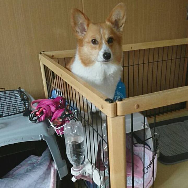 Eb0fa780 0204 4aa3 808d 8fa6bf136123 1526370070354