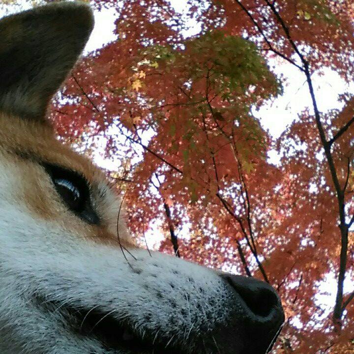 Eb0fb05a a50f 4ae2 8da2 8b7b027a542f 1543205238522