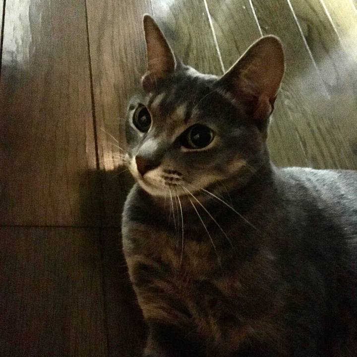 Eb0ff5fc fb1e 46b9 88ad 38fd9d02ad9c 1599570444919