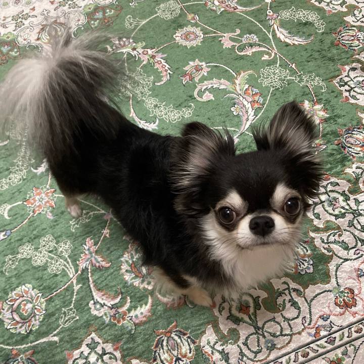 Eb101959 d56a 40b9 963e f23220215403 1658670051297