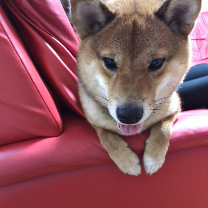 Eb1019c2 c065 4699 a1b9 8732fa6a4b69 1518087178470