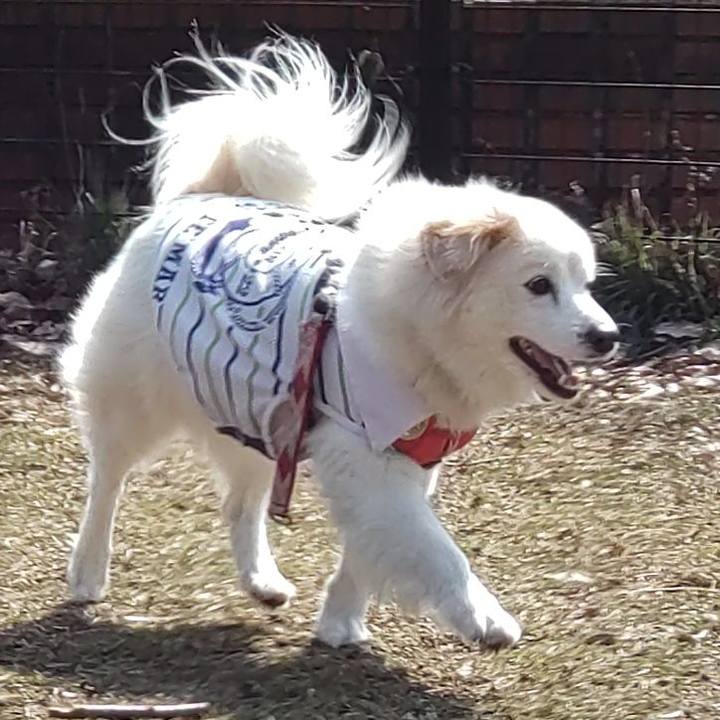 Eb104041 27fa 4712 af97 86fa0426e910 1646019731439