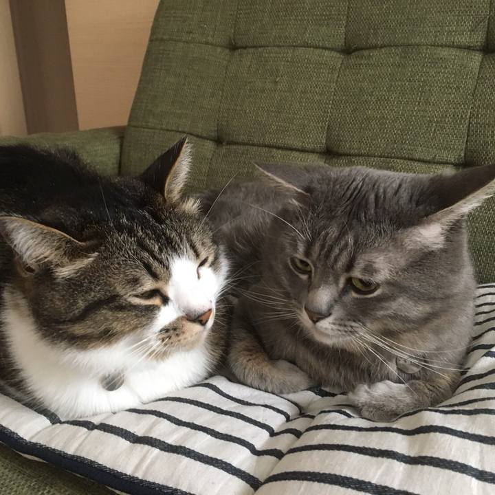 Eb10892c 9d10 4a82 8081 bddb82d1611d 1753673836700