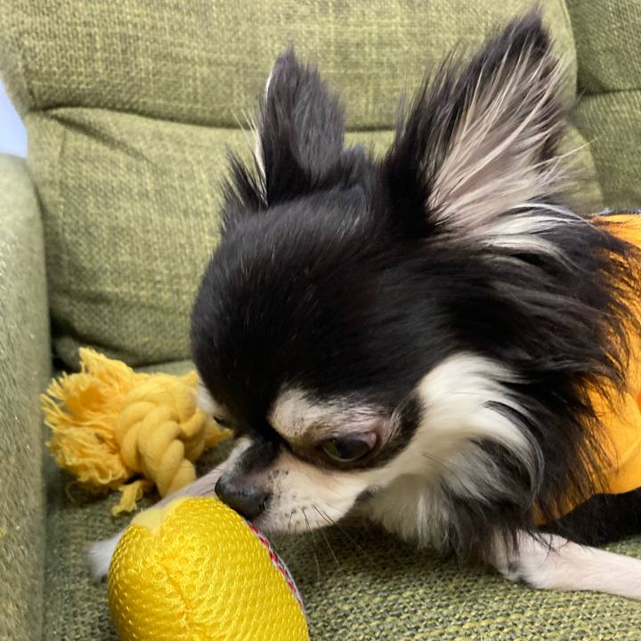 Eb11125d 842c 4703 b1fc 7e0ed98e4ff6 1679807514079