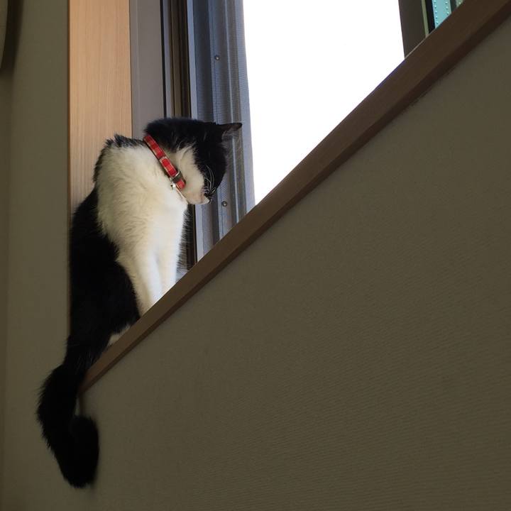 Eb111931 3538 4bcb afef 1d14cb3e0bc1 1534808727634