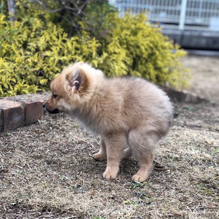 Eb111a03 d9ab 4b23 81b2 0bcad3800944 1576200454919