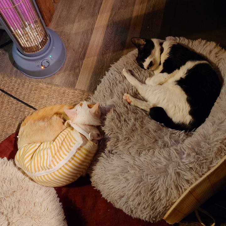 Eb11337e f103 42eb 912e e07eb70c30ff 1768387569305