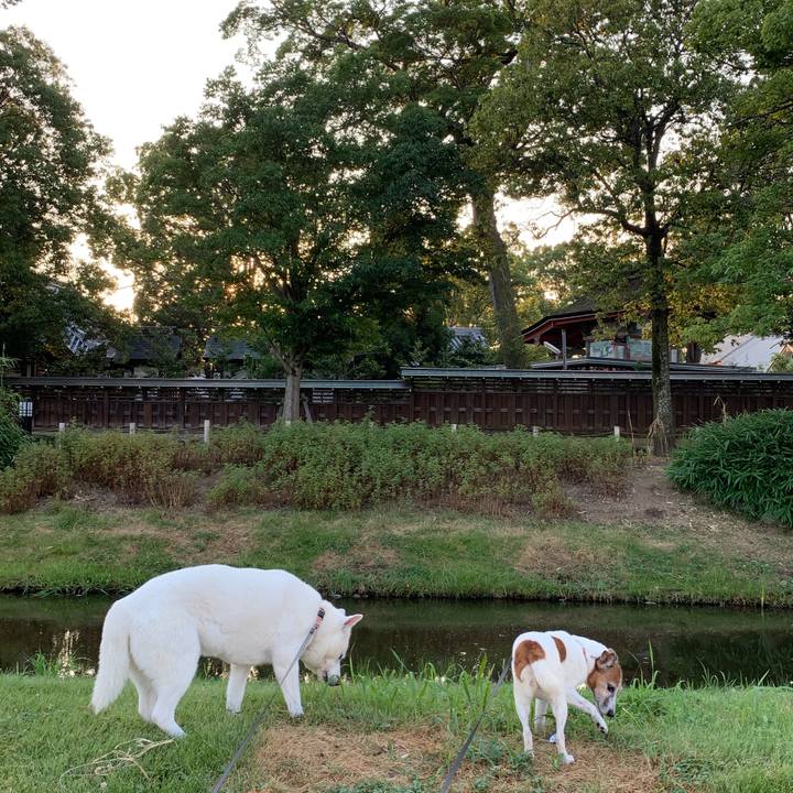 Eb113712 2f7e 412b 88bc 45aa7bffb979 1565384642571