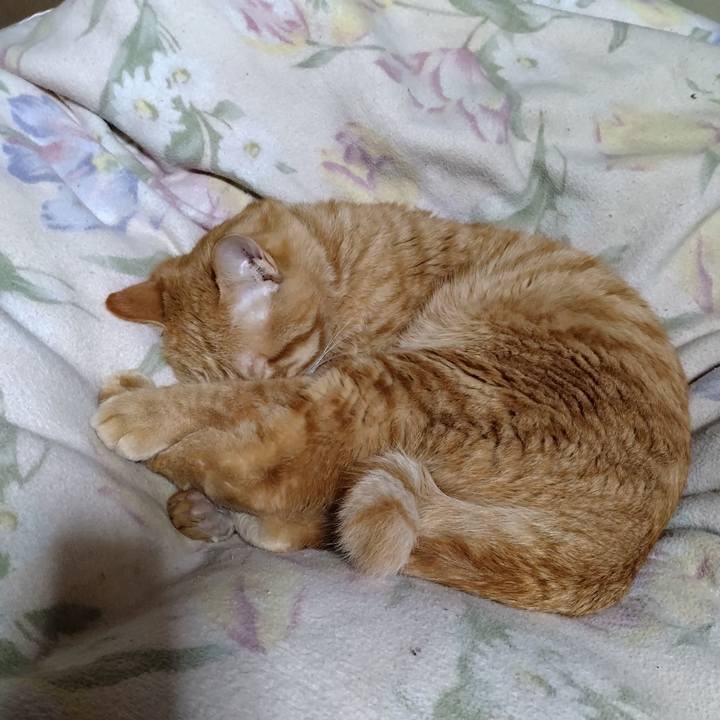 Eb11597b 29e6 4f65 80e9 6b494cdbf3a1 1674482379173