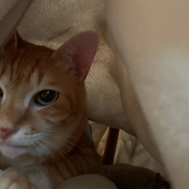 Eb1195be 316b 4158 88d1 aac32d4cbc34 1587161962484