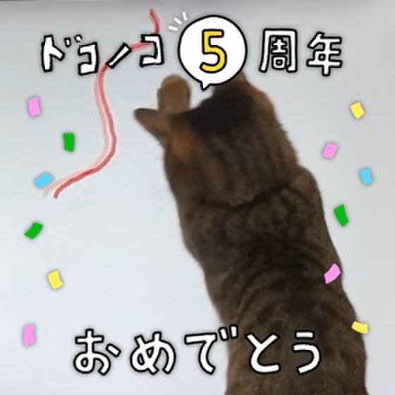 Eb11d163 f31f 418c 8716 2e48fc568e93 1622949499269