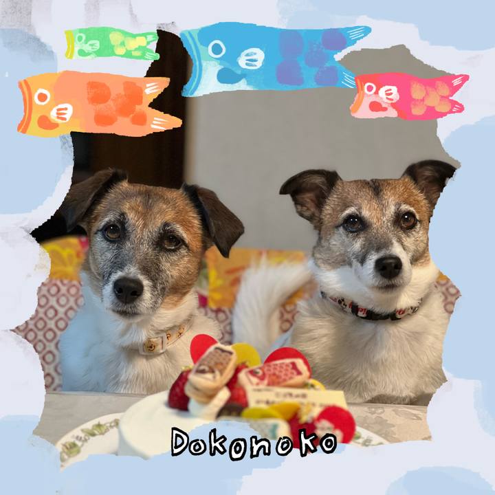 Eb11d4c0 4e71 4891 86c6 40dd60ca5d36 1749124107017