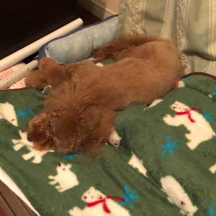 Eb11f9c4 d65a 4899 afe4 9d3e30452611 1515850788356