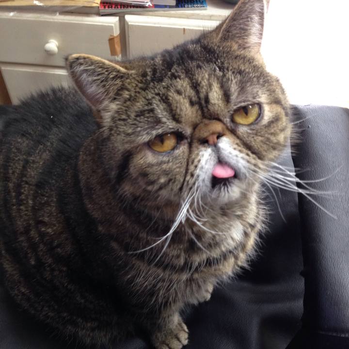 Eb1299ff f1a1 4e83 a22f 1ce2d8ce73d5 1513299632910