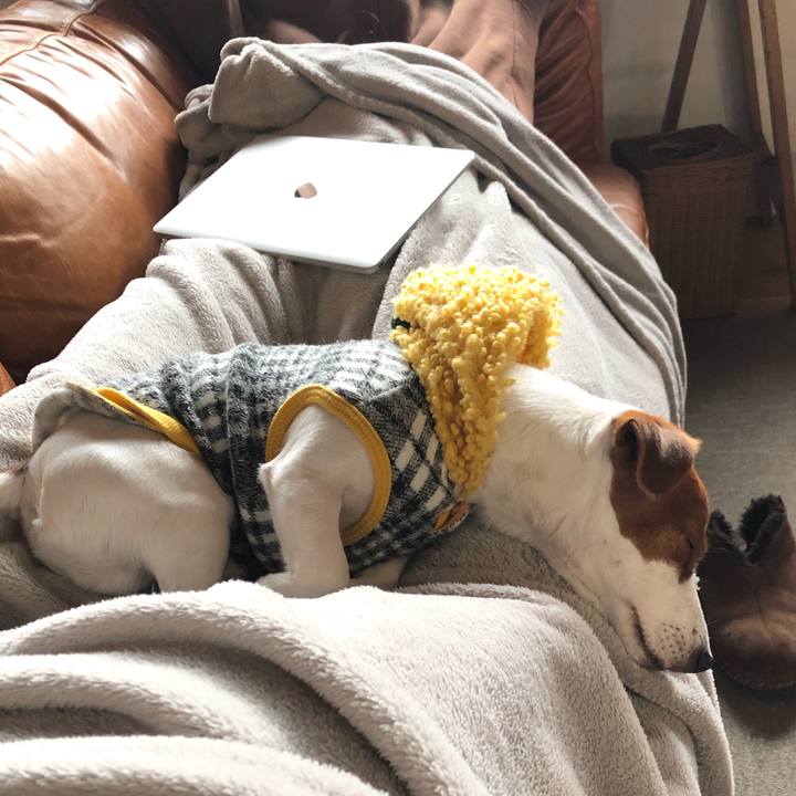 Eb129f1f 6403 4e7c a9f7 3cddc57fd349 1546413064730