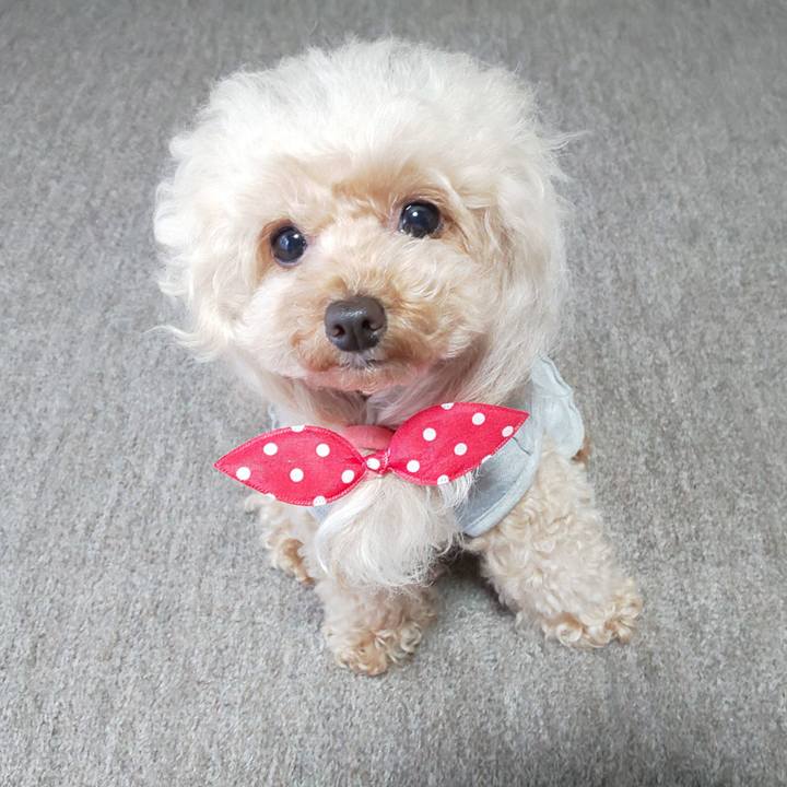 Eb12a279 b9c9 4385 957c 6448dec1d04e 1572350715128