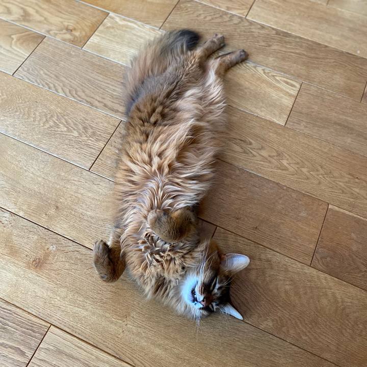 Eb12a629 b195 440f a4ba 28b1543d3a82 1656460498975