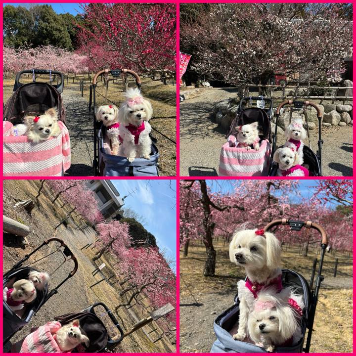 Eb12e4e6 4235 4d08 9a86 14f200e57f88 1741596473983