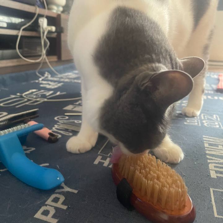 Eb12e788 15de 45a9 8eaf fd4938021dd9 1718498918167