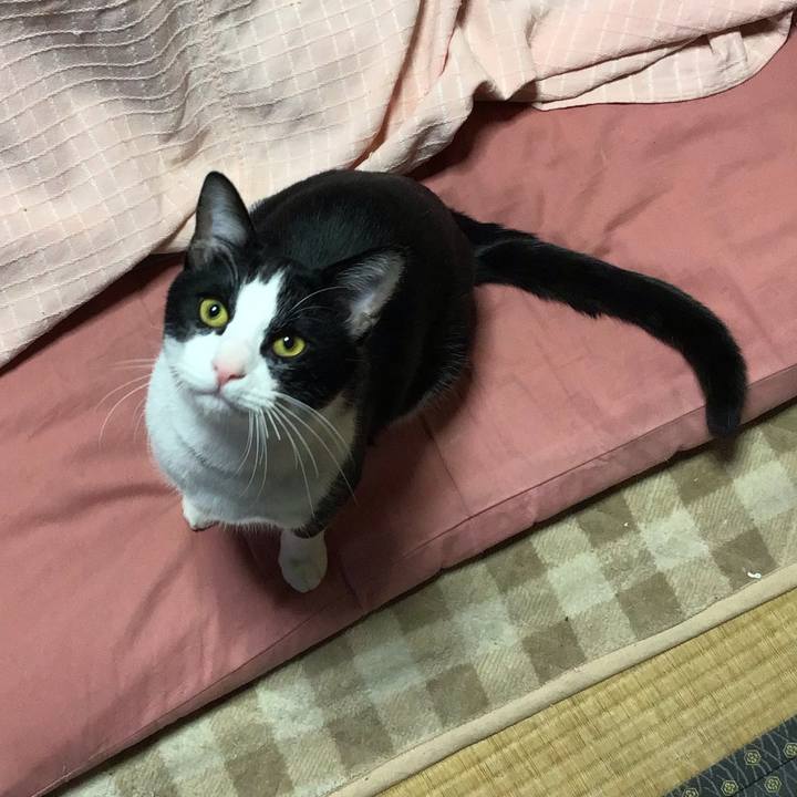 Eb12f0f5 09d9 404e aafc 76cff6f8e564 1644310670070