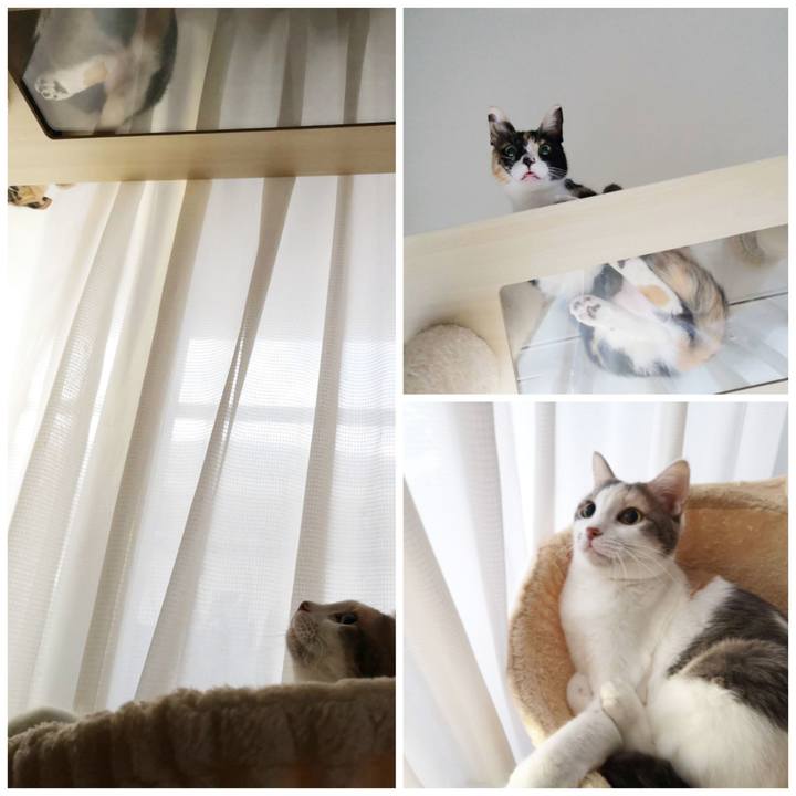 Eb131545 b04b 4b1b a697 836eb71f2eba 1603250982520