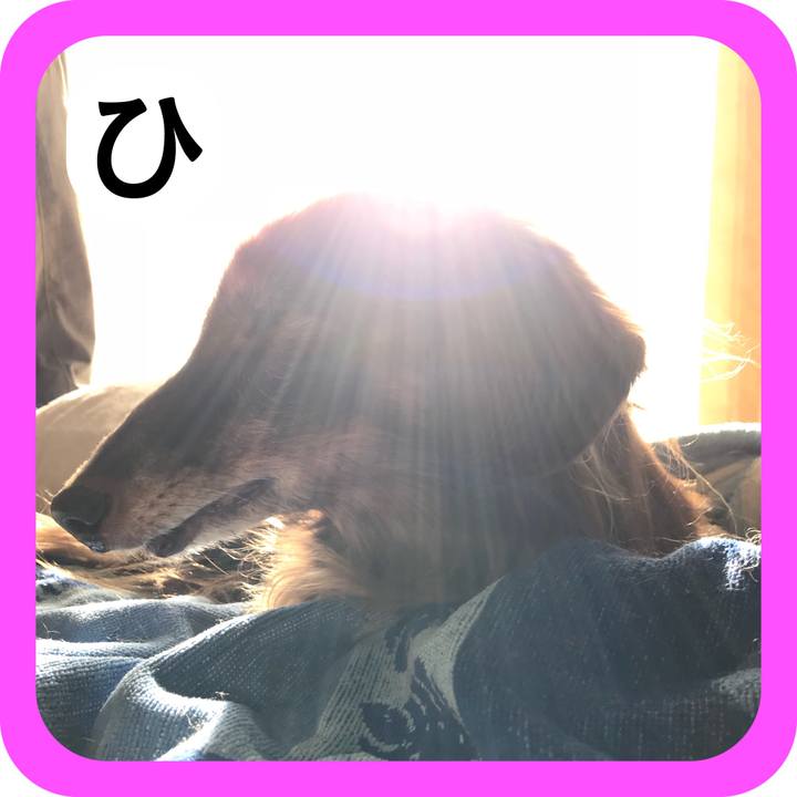 Eb136313 a87e 451b 9a5c c90720f78e94 1514805687813