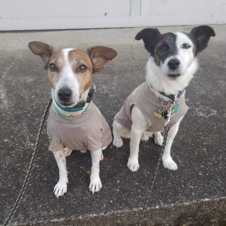 Eb136971 2365 4b40 a82a 6257fd198268 1758837022432