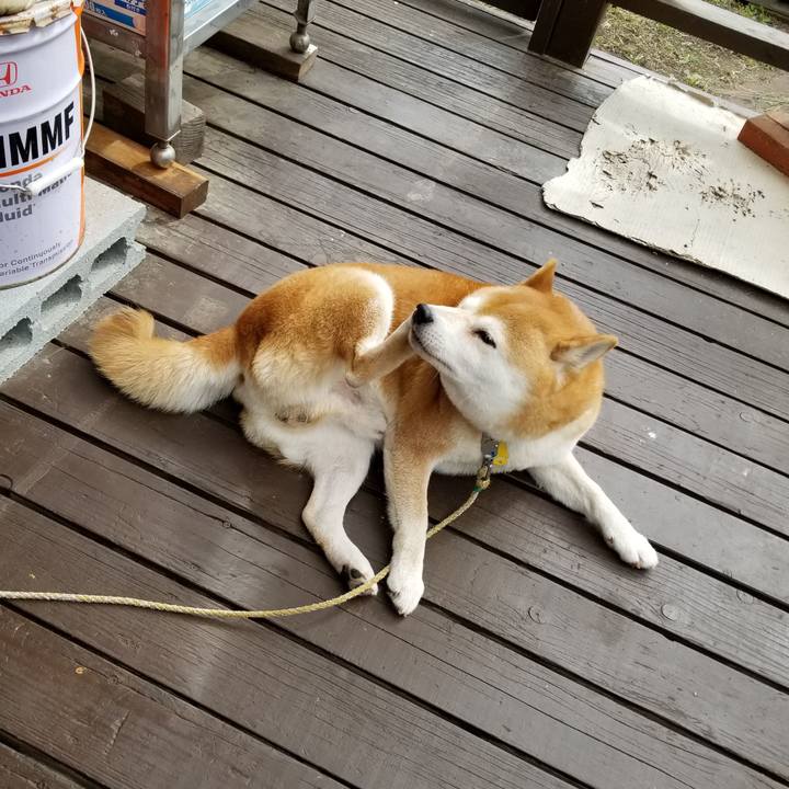 Eb138c1a b1e8 48c8 8c08 9f65aaf9c84d 1569198318234