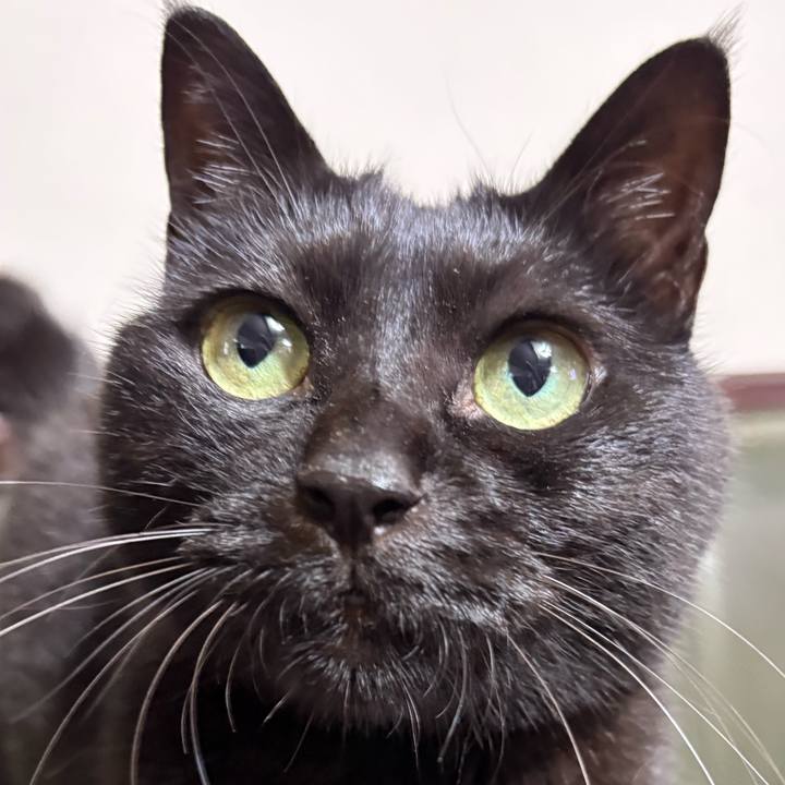 Eb13c3b0 df16 4b25 b049 274386b0662a 1757727701668