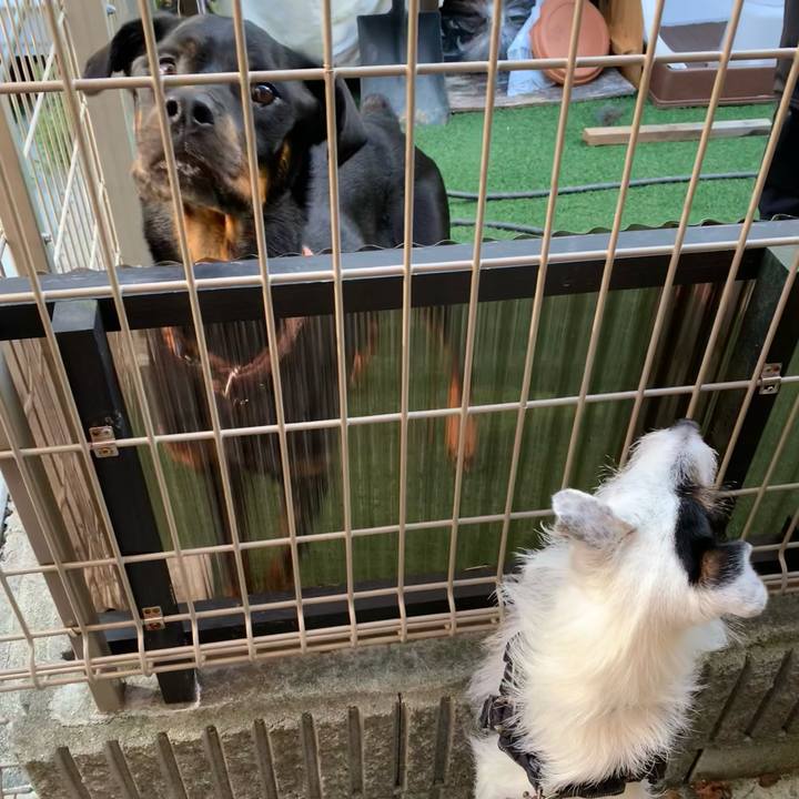 Eb13dbf2 c8a6 40cf 9b5a 2fcf5146e252 1692917480209