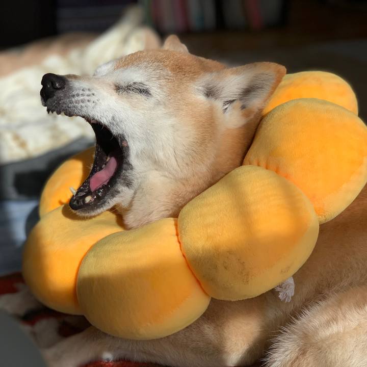 Eb13f2db ba45 4f97 8fdf b762ec71b8ef 1580520660952