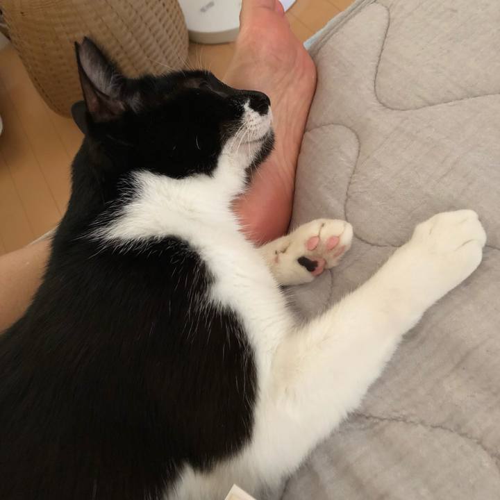 Eb140226 dd9d 46cb a0e7 ceee559396b6 1658625372440