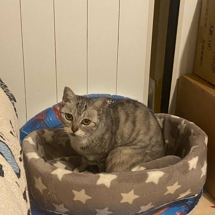 Eb1420f3 a39f 4eee 8b2c 9602802266d0 1729981216347