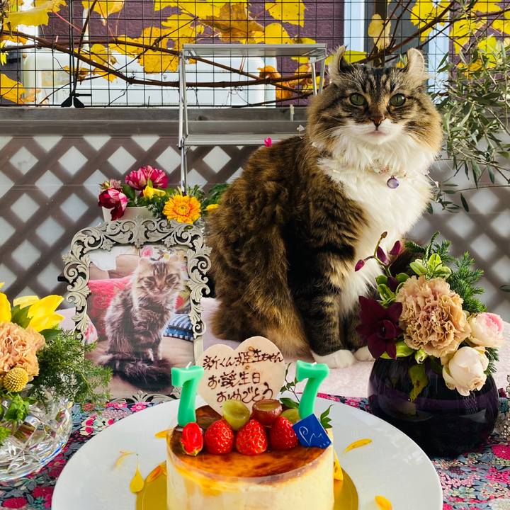 Eb142977 cdfd 4dd8 a02c fba82a021ce5 1708706059164