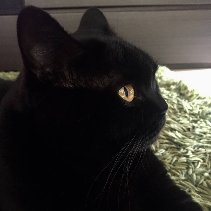 Eb1443d9 1c38 4607 a025 3bb3c3e11e24 1539305133044