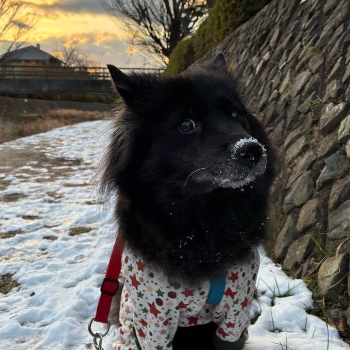 Eb1449f7 e90d 4883 ba8a 0a5993096574 1770681054285