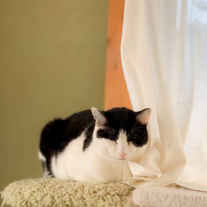 Eb145257 5323 4948 bfbb bbe3c62bd098 1588296595843