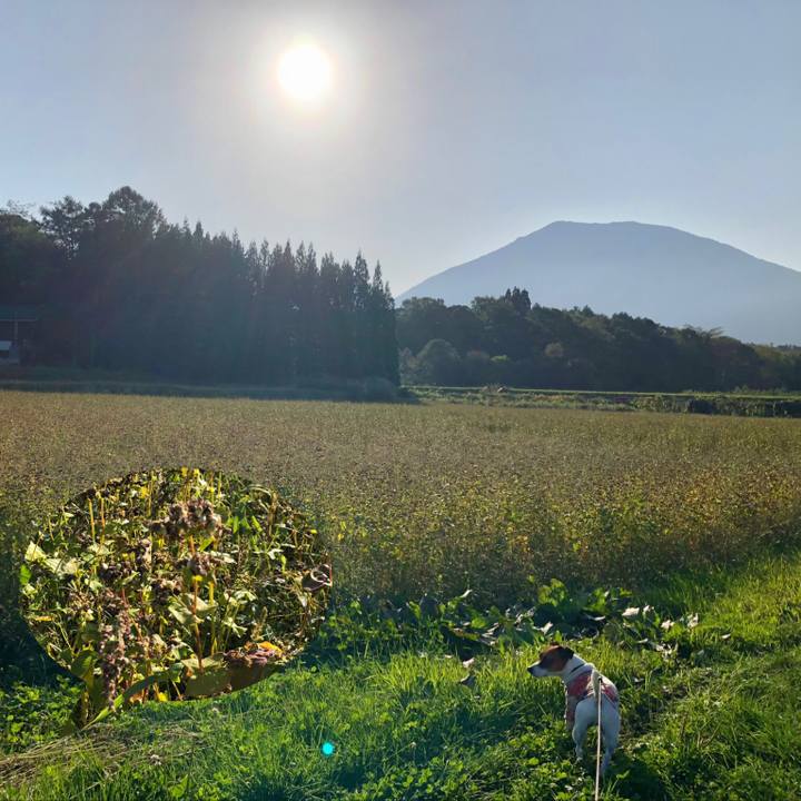 Eb145441 d15f 453a 9376 2ea831febf85 1601630921576