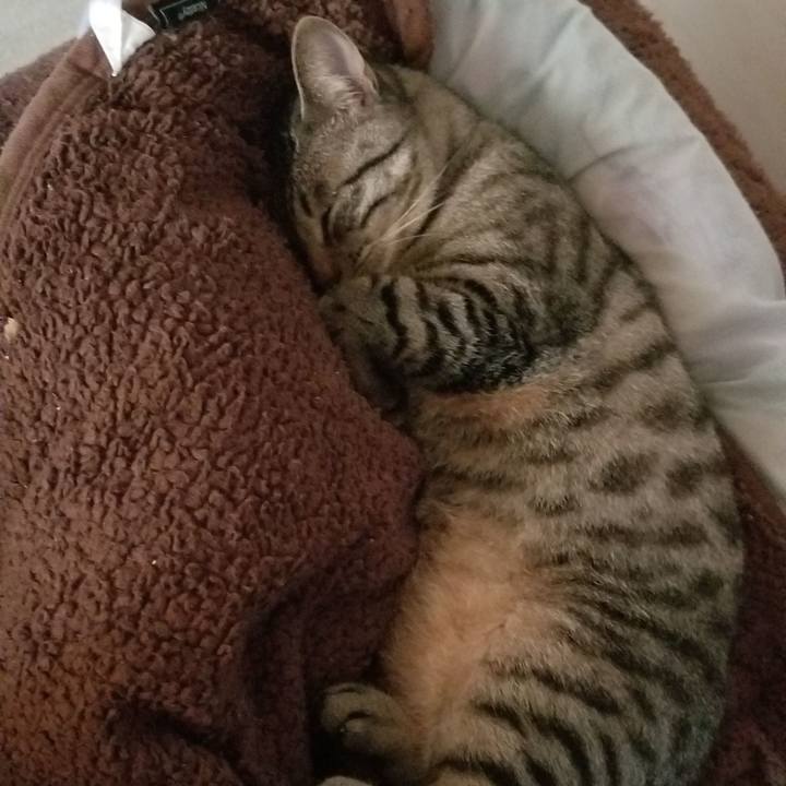 Eb148498 6efd 4a5c af9c e64db68c0e1a 1690907458368