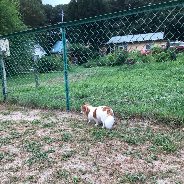 Eb14b0b7 d840 440d acea 200265c93bce 1565512966647