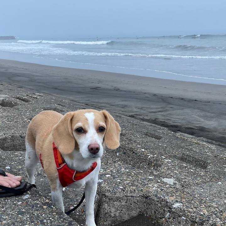 Eb150a39 5d98 4f6f 9189 7590df3dda06 1661078637361