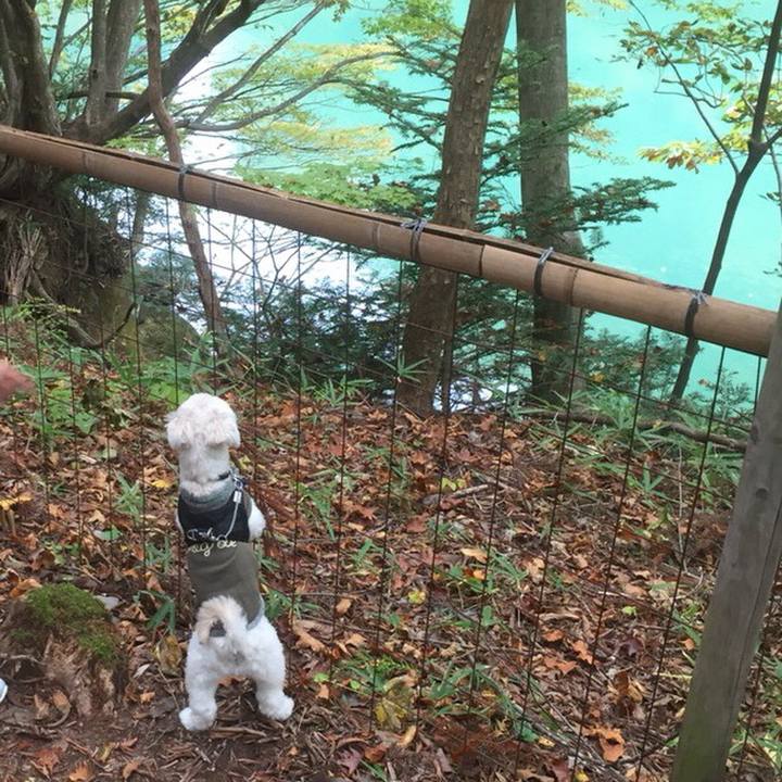 Eb152cac 71c6 4870 b930 71a405295d57 1510139264775