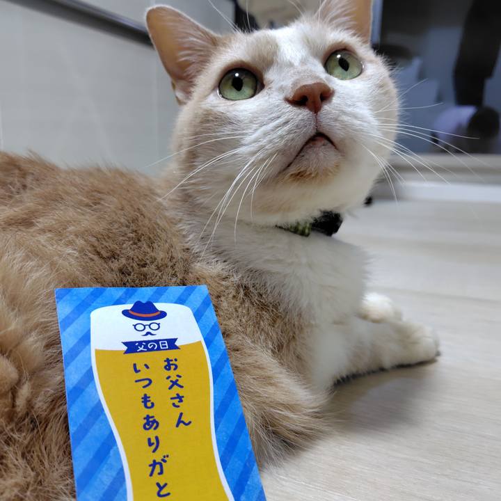 Eb1558ce d103 420d aaa9 0594139a8fec 1718533814289