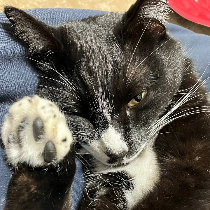 Eb156c18 b677 4c9e a693 f12df0a6f5dd 1678937868669