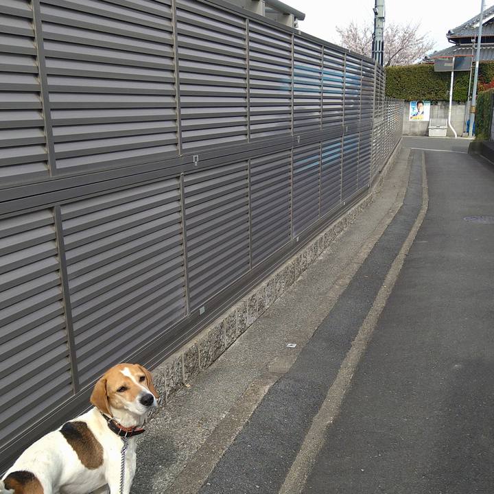 Eb156e1a 5d84 4f57 aa6e 58a5ec1e15cb 1648888228854