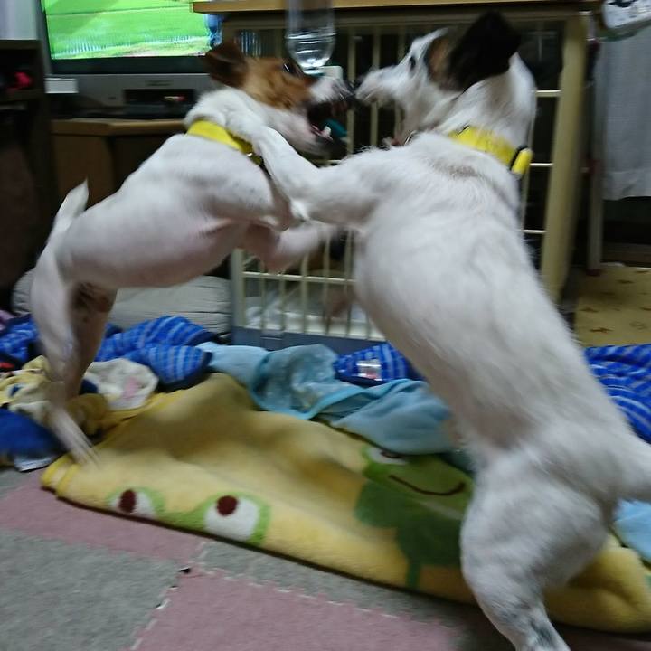 Eb157474 5c7c 4636 a4af c085e9b0442e 1531138392456