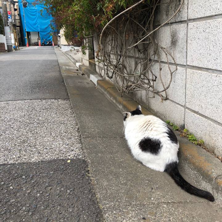 Eb15bec5 5370 4df9 a321 f8fdd0e88a5d 1614441753454