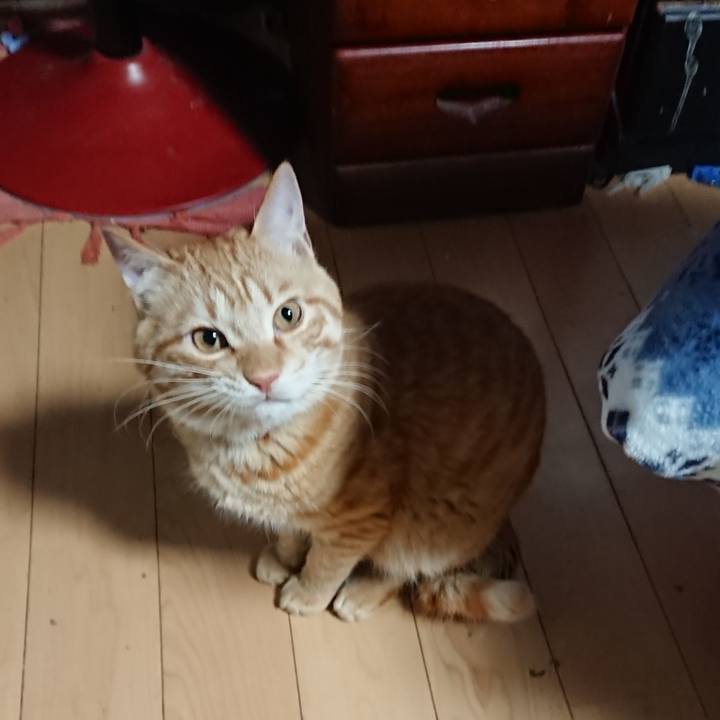 Eb15c0a6 81aa 4a4a 8304 fc1513f2a22a 1646339203187